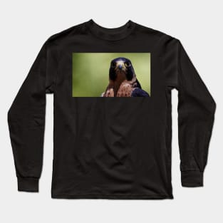 Peregrine Falcon Long Sleeve T-Shirt